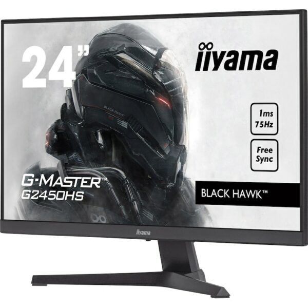 iiyama G-Master G2450HS-B1 60cm (23